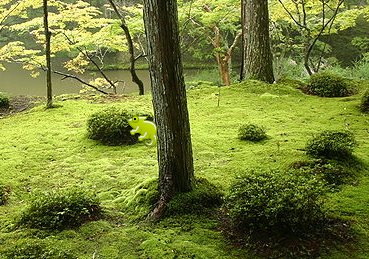 Les aventures de Léon Camay - 54