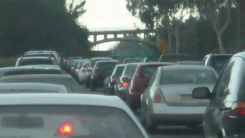 Photo (c) Bob Caroll