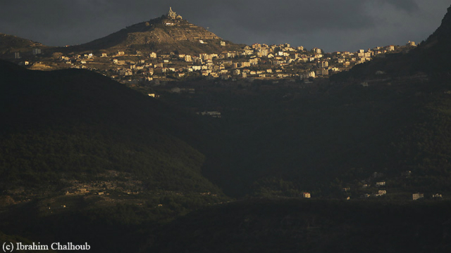 Photo (c) Ibrahim Chalhoub