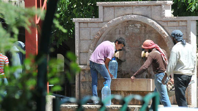 Photo (c) Ibrahim Chalhoub