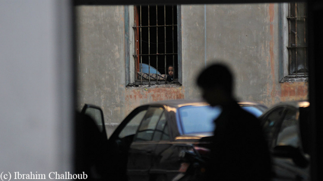 Photo (c) Ibrahim Chalhoub