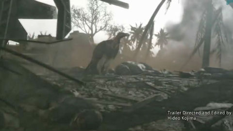 Cliquez ici pour commander le jeu