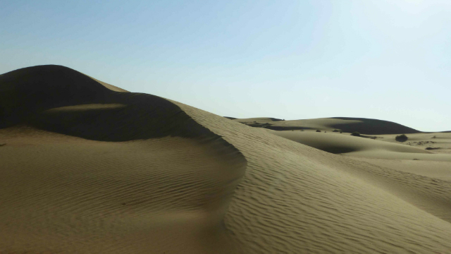 Photo (c) Chantal Sobra