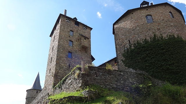 Photo (c) Dirk Van Gestel