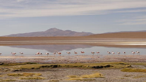 Salar de Uyuni, lac salé, sud Bolivie. Photo (c) Florence Renault
