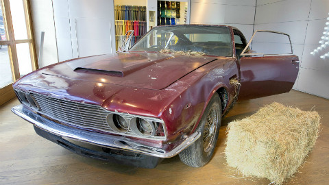 Photo (c) Laura Lean