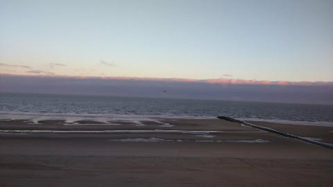 Photo (c) Robert Genicot