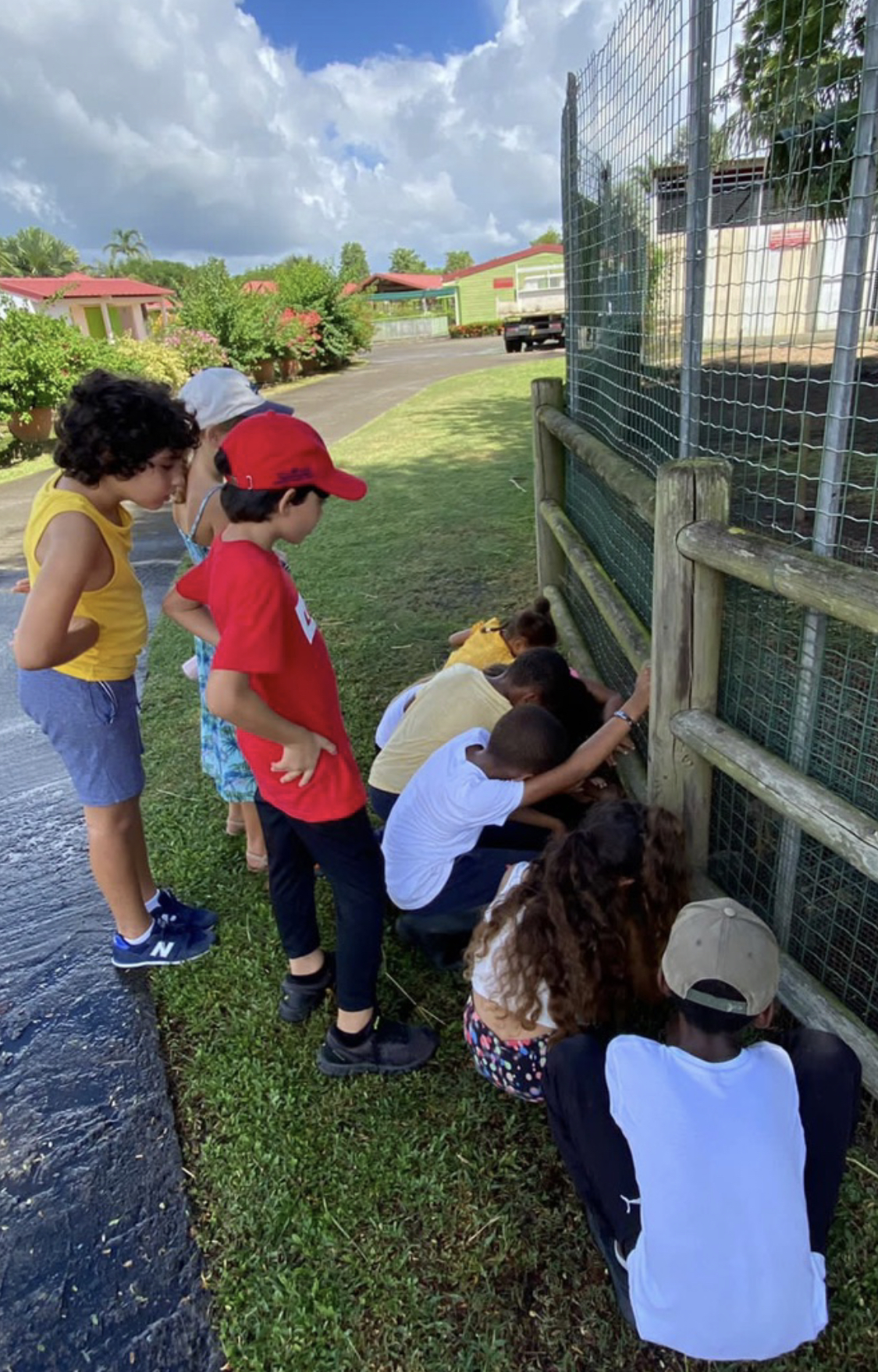 Better Fly Martinique : L’école d’apprentissage linguistiques en immersion complète