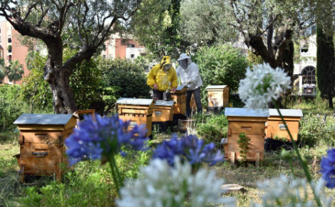 Photo (c) Charly Gallo / CDP