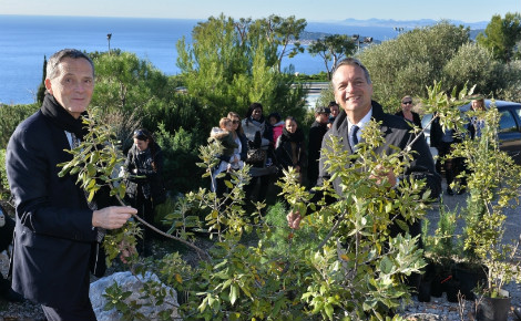 Photo (c) Mairie de Monaco