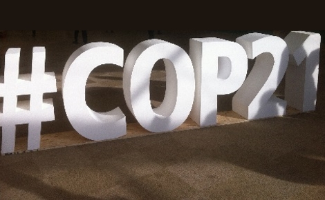 La COP21 a permis de découvrir de nouvelles formes de financements durables. Photo © LLF