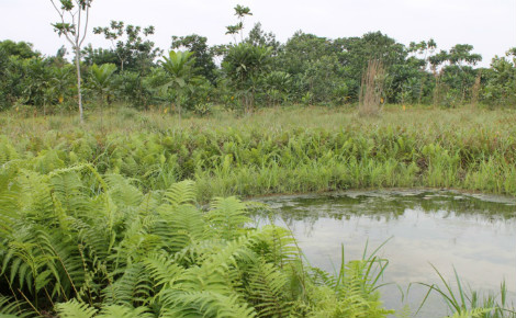 Eaux de pluies stagnantes à Bohicon, Bénin. Photo (c) Agglomération Seine-Eure