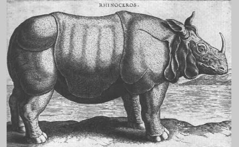 Abada, le rhinocéros de Philippe II gravé par Philippe Galle. Image du domaine public.