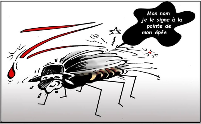 Gratuit Images Le Moustique Tigre Signe Zika dernière par