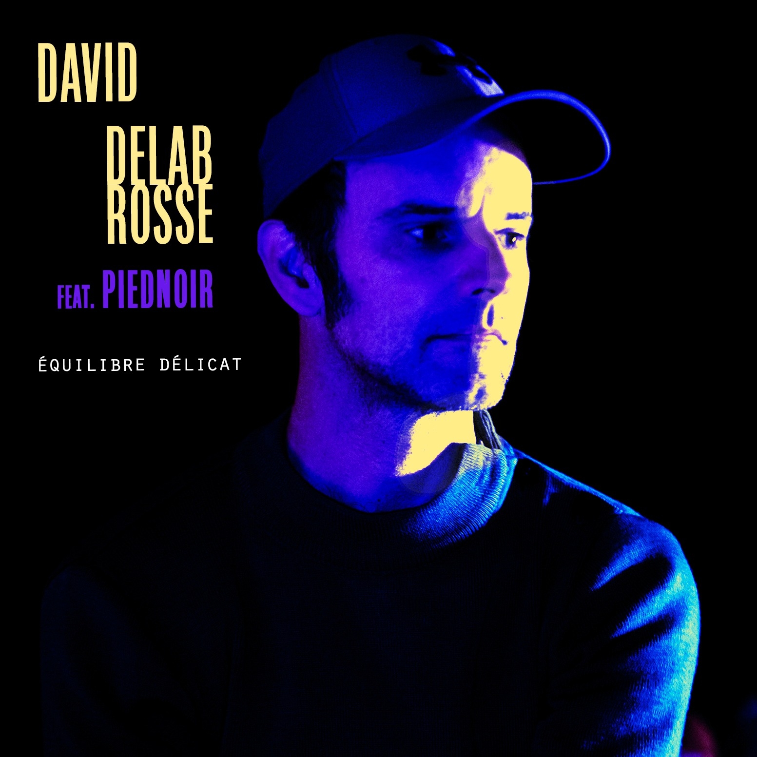 David Delabrosse trouve un Equilibre Delicat avec son nouvel album