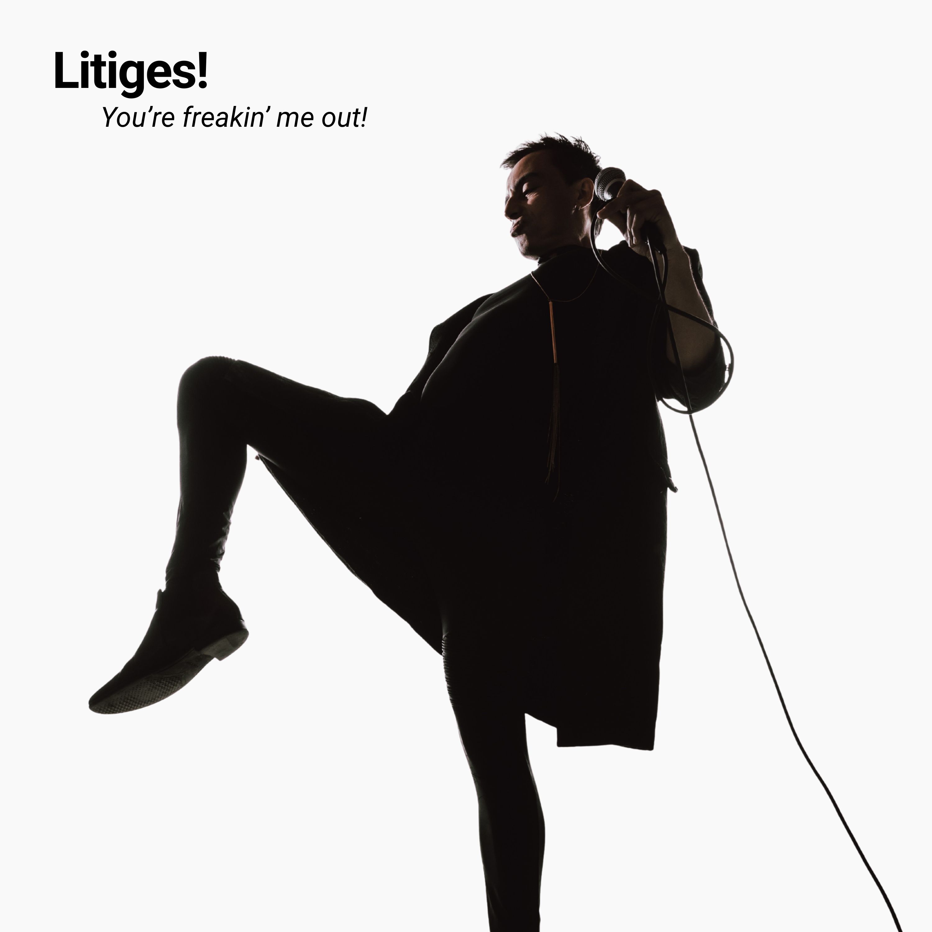 Litiges! fait ses débuts avec le clip You're Freakin' Me Out