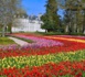 https://www.podcastjournal.net/Celebration-du-Printemps-au-Chateau-de-Cheverny-Une-Symphonie-de-Fleurs-et-de-Festivites_a29189.html