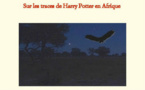 Un livre sur les traces de Harry Potter en Afrique