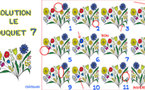 Solution du JEU d'observation du 28 juin 2009