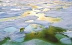 4e année polaire internationale : Comment éviter la fonte des glaces polaires ? (3/4)