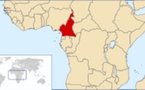Cameroun : L’aide à la presse fait débat