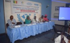 Journée internationale de la paix célébrée au Sénégal