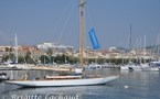 REGATES ROYALES DANS LA BAIE DE CANNES