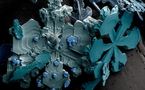L'IMAGE DU JOUR: Flocon de neige