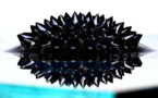 IMAGE DU JOUR: Ferrofluide