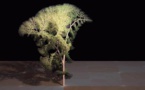 L'IMAGE DU JOUR: Arbre fractal
