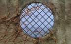 IMAGE DU JOUR: Fenêtre ronde
