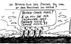 Pollution aux hydrocarbures en France