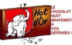 DESSIN DE PRESSE: Contre les ravages du chocolat