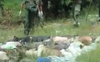 Côte d'Ivoire: Les deux camps sont responsables de crimes de guerre et de crimes contre l'humanité