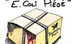 DESSIN DE PRESSE - E.Coli Piégé 