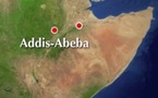 Deux responsables de l'opposition éthiopienne appréhendés 
