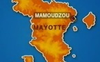 Mayotte: Fixation du prix de la viande de boeuf