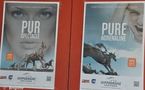 Meeting d'hiver 2011-2012 à l'Hippodrome Côte d'Azur