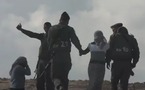Palestiniens déplacés par les démolitions