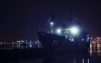 Sea Shepherd agit après le refus de la protection du requin mako