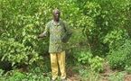Culture du jatropha au Bénin: Une réponse aux besoins locaux en énergie