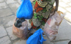 Prolifération des déchets plastiques: A quand une mesure forte au Bénin?