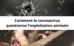 Comment le Coronavirus questionne l'exploitation animale