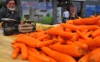 L’IMAGE DU JOUR – Le marchand de carottes