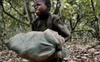 Courrier des lecteurs - Des enfants esclaves pour ramasser les fèves de cacao