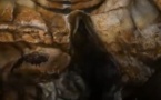 AUDIOGUIDE: A la découverte de la Dordogne, berceau de la préhistoire - 3