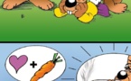 DESSIN DE PRESSE: Les carottes sont splifs