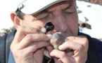 ART Europe: Le documentaire d’un scientifique marocain passionné de météorites en tête des audiences 