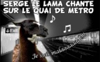 DESSIN DE PRESSE: Feux de la rampe du tram pour Serge le lama