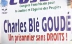 Côte d’Ivoire: Un chef de milice accusé de crimes contre l’humanité